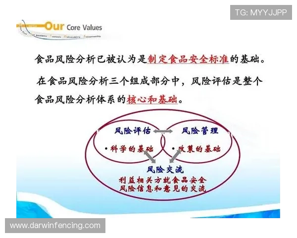 尊龙凯时z6安全登录入口详细介绍与最新安全保障措施分析