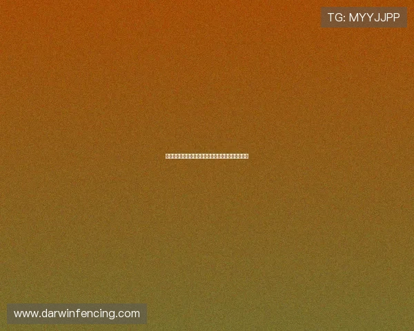 尊龙在线登录入口：最新登录地址及安全保障措施详解