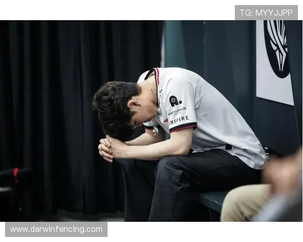 Z6尊龙真人国际用户评价与口碑分析：真实玩家体验分享与建议