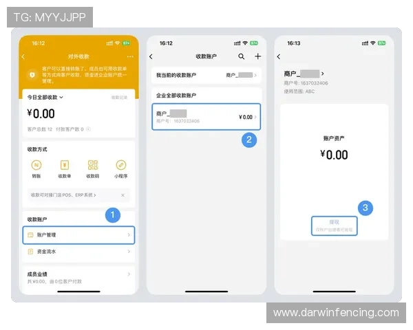 杏宇娱乐官网首页便捷的充值提现流程，轻松管理您的游戏资金