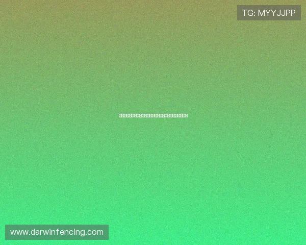 尊龙人生就是首页：追求卓越人生的实用建议与成功经验总结